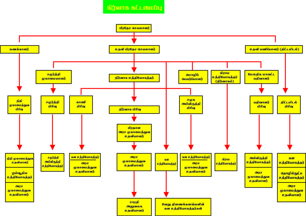 Organizetio chart Tamil